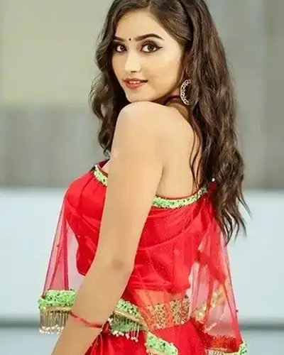 Call Girls Service Shornur